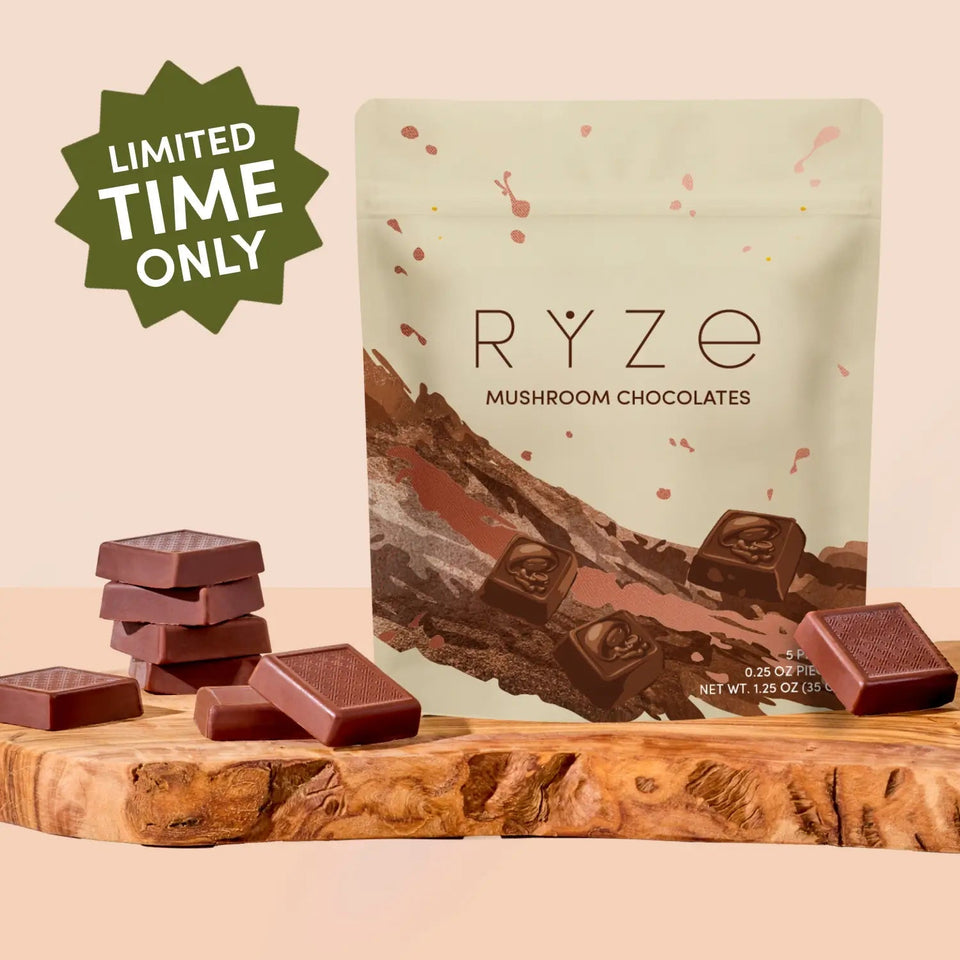 Mushroom Chocolates Rye (15 pieces) - Easy Mushroom Ready