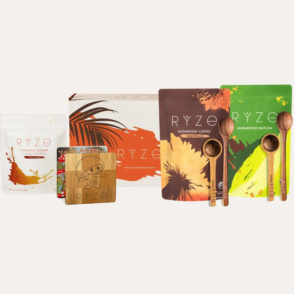 All Day Energy Bundle (Coffee + Matcha) - Modern Coffee Style